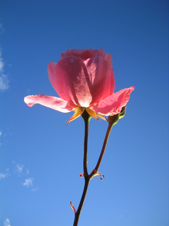 100_0007.jpg