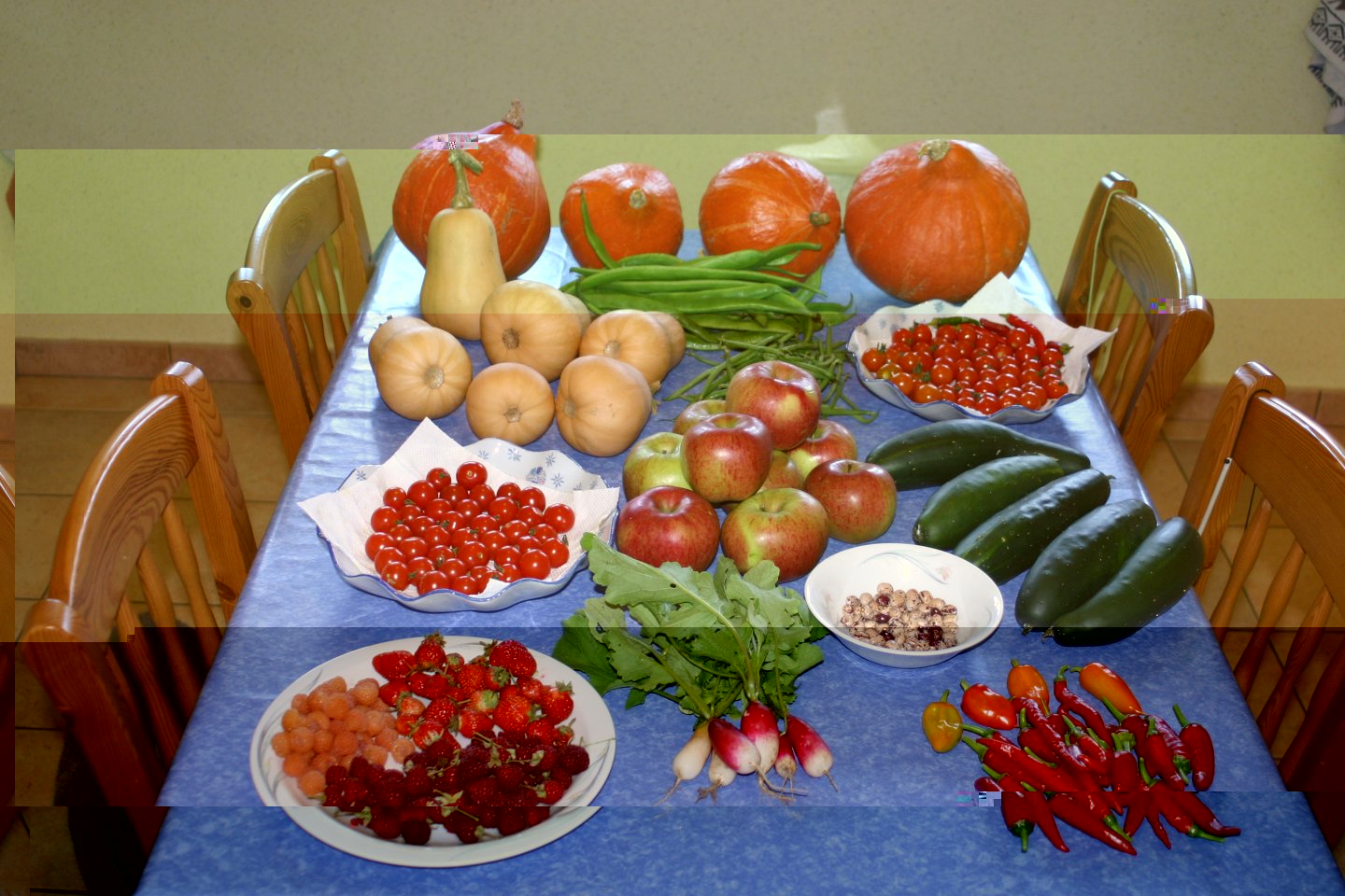 Sept harvest.jpg