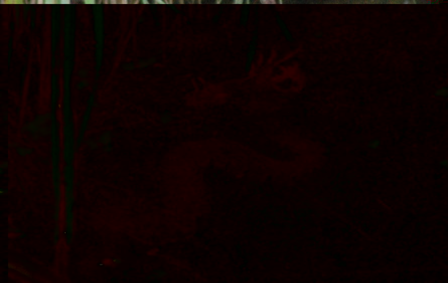 a.jpg