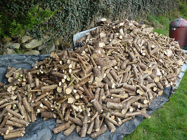 Logs.JPG