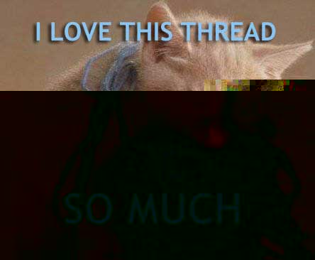 thread.jpg
