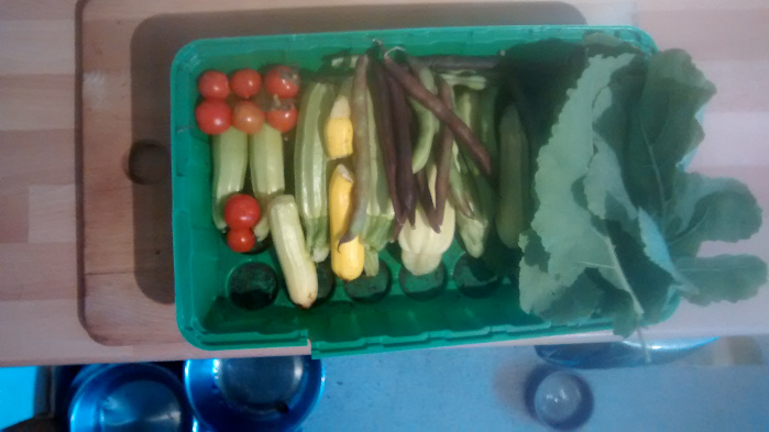 smallharvest.jpg