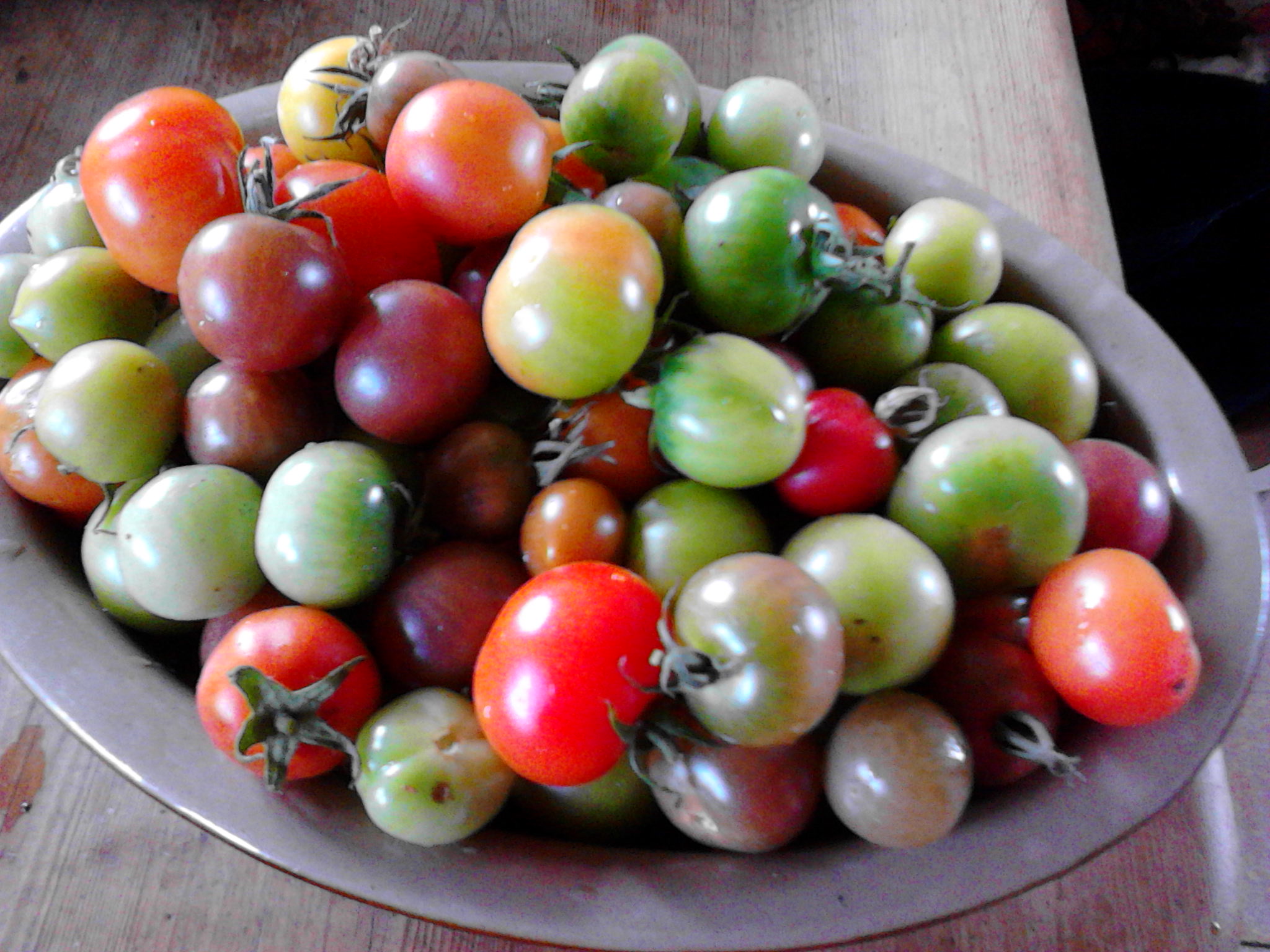 The last of this year's tomatoes. 5lb here.