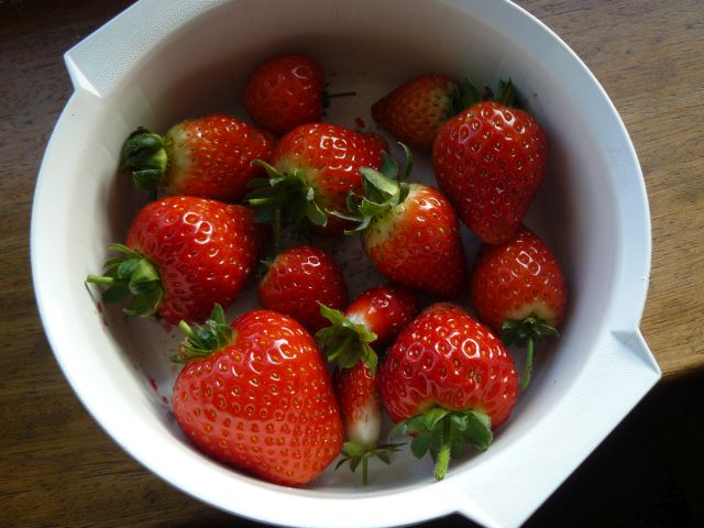 Strawbs.jpg