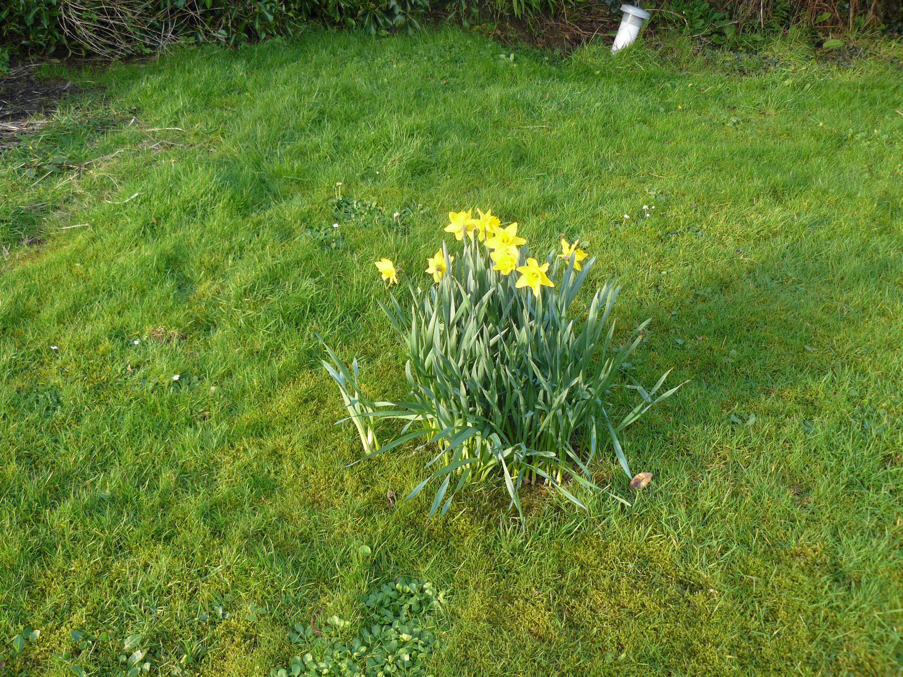 P1000903.JPG
