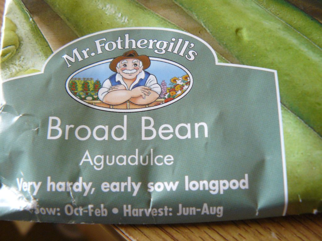 Broad bean.jpg