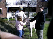 Palm Sunday 2.jpg