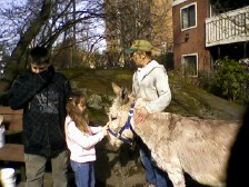 Palm Sunday3.jpg