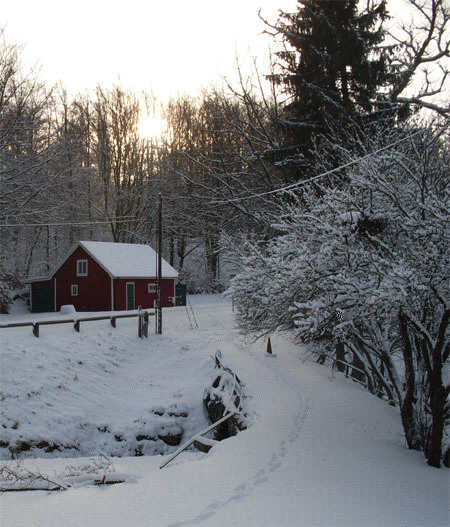 snow11.jpg