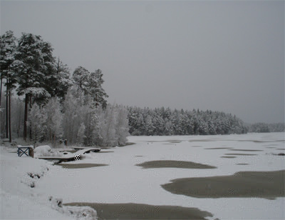 snow3.jpg