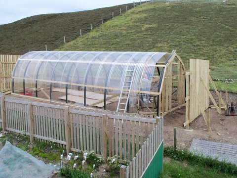 polytunnel resized.JPG