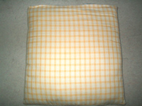 cushionforweb.jpg