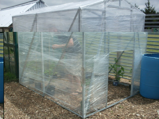 SDC10498-2-1.jpg