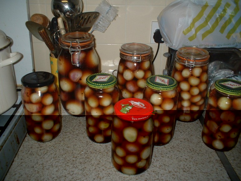 pickled onions2.jpg