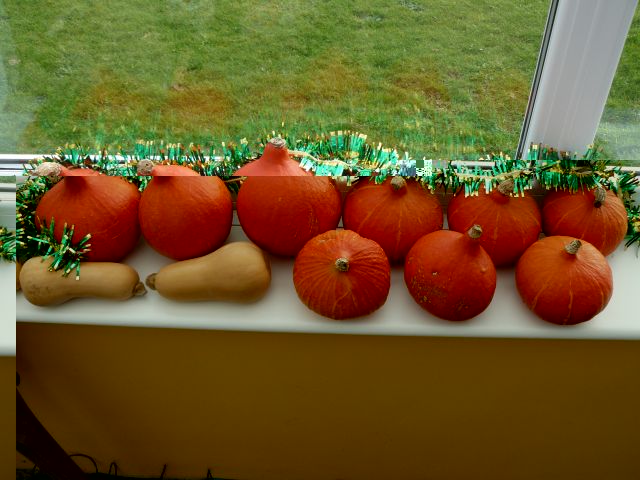 Squash.jpg