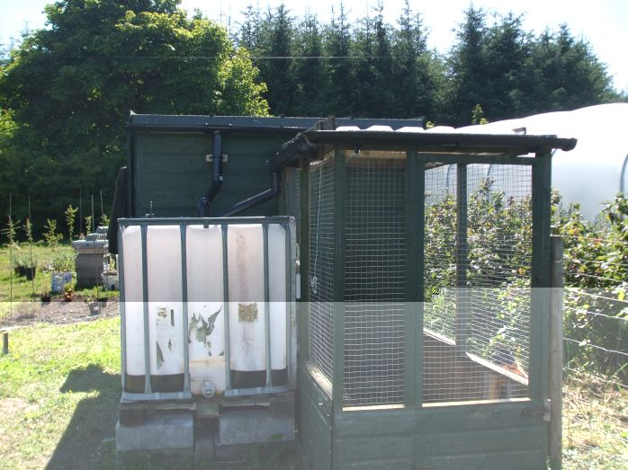 Harvesting rainwater from hen house and run