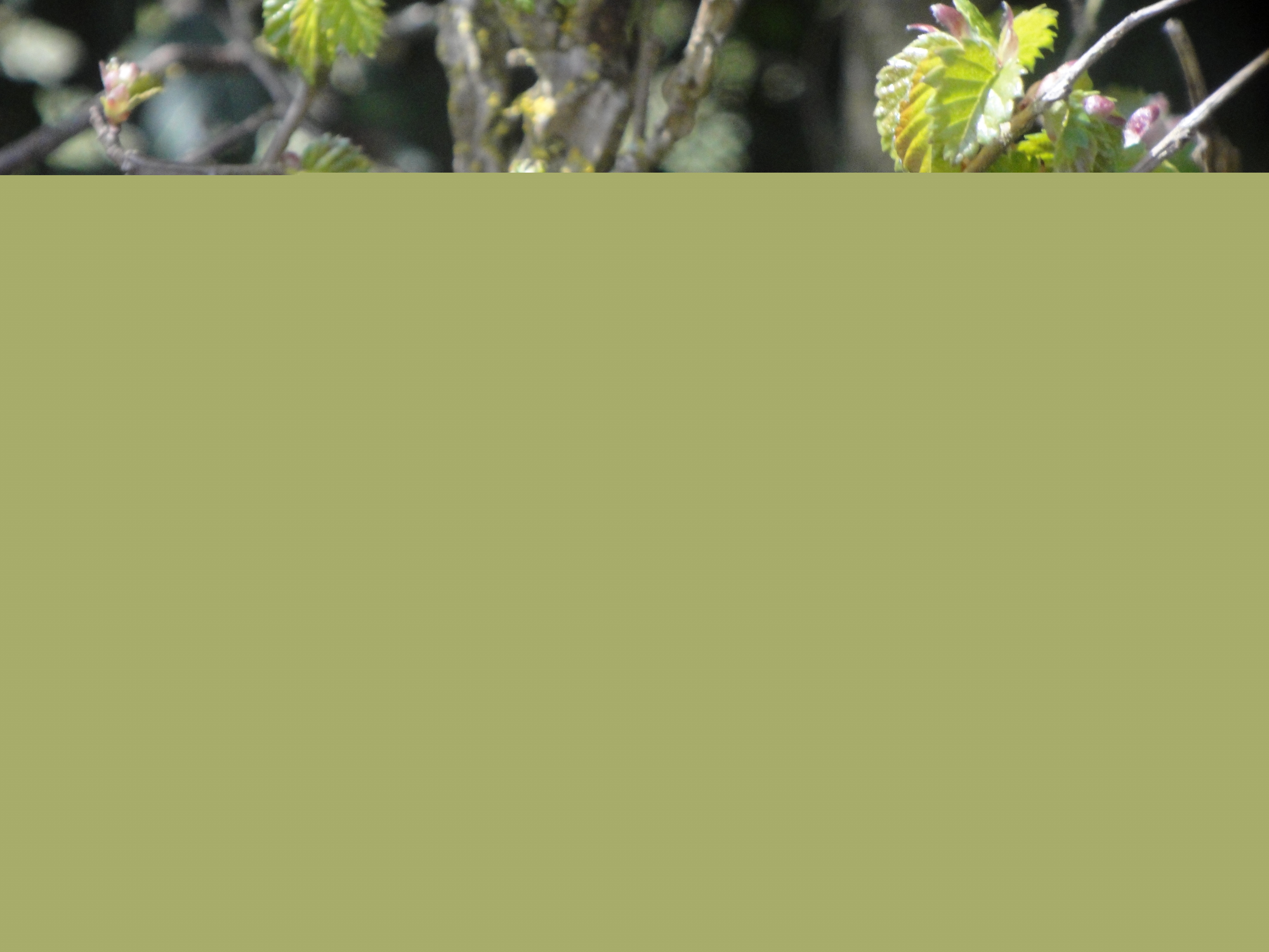 DSC02124.JPG