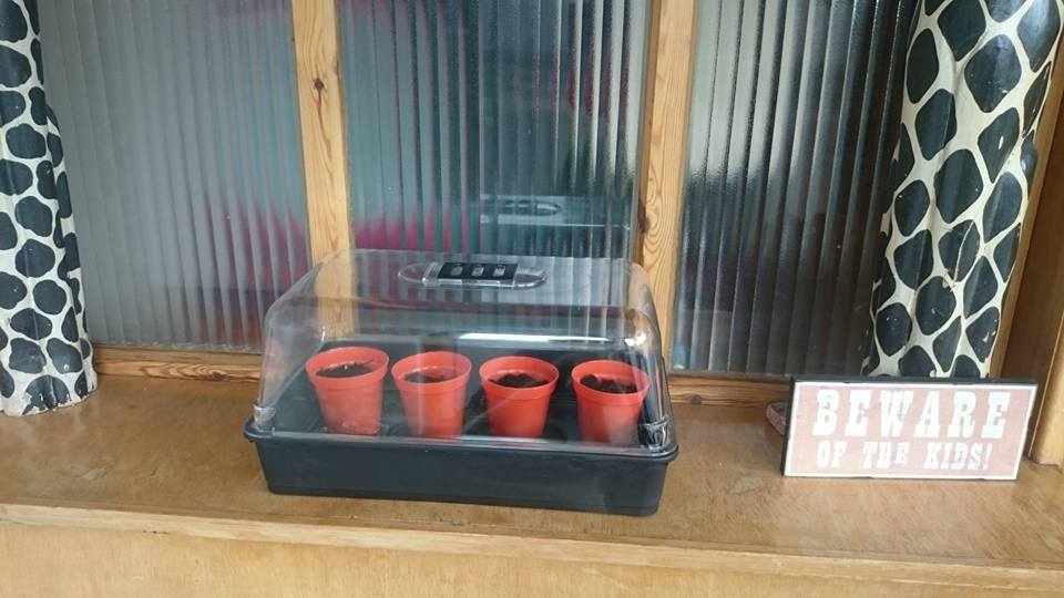 Propagator :-)