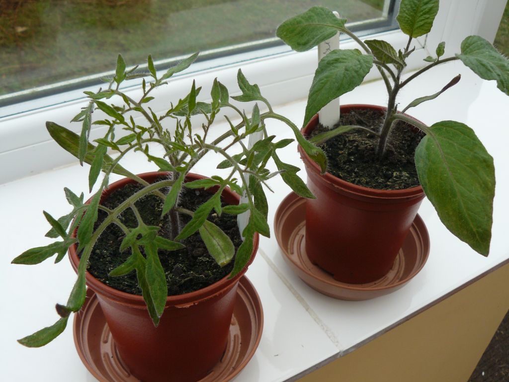 2016-03-06 11.28.59.jpg