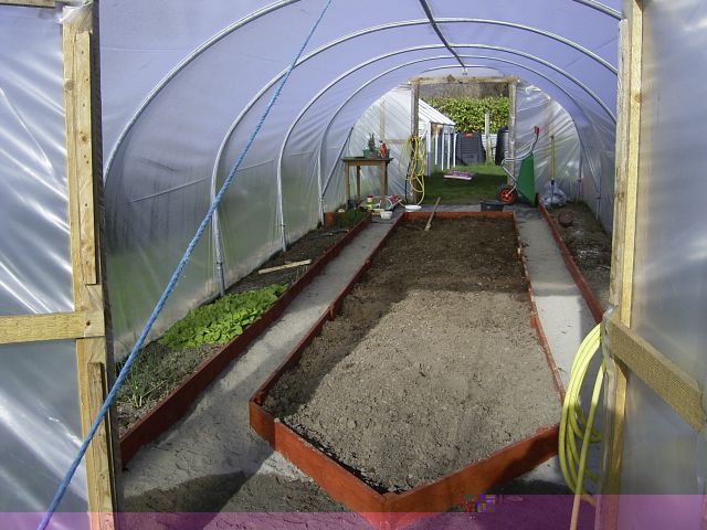 polytunnel.jpg