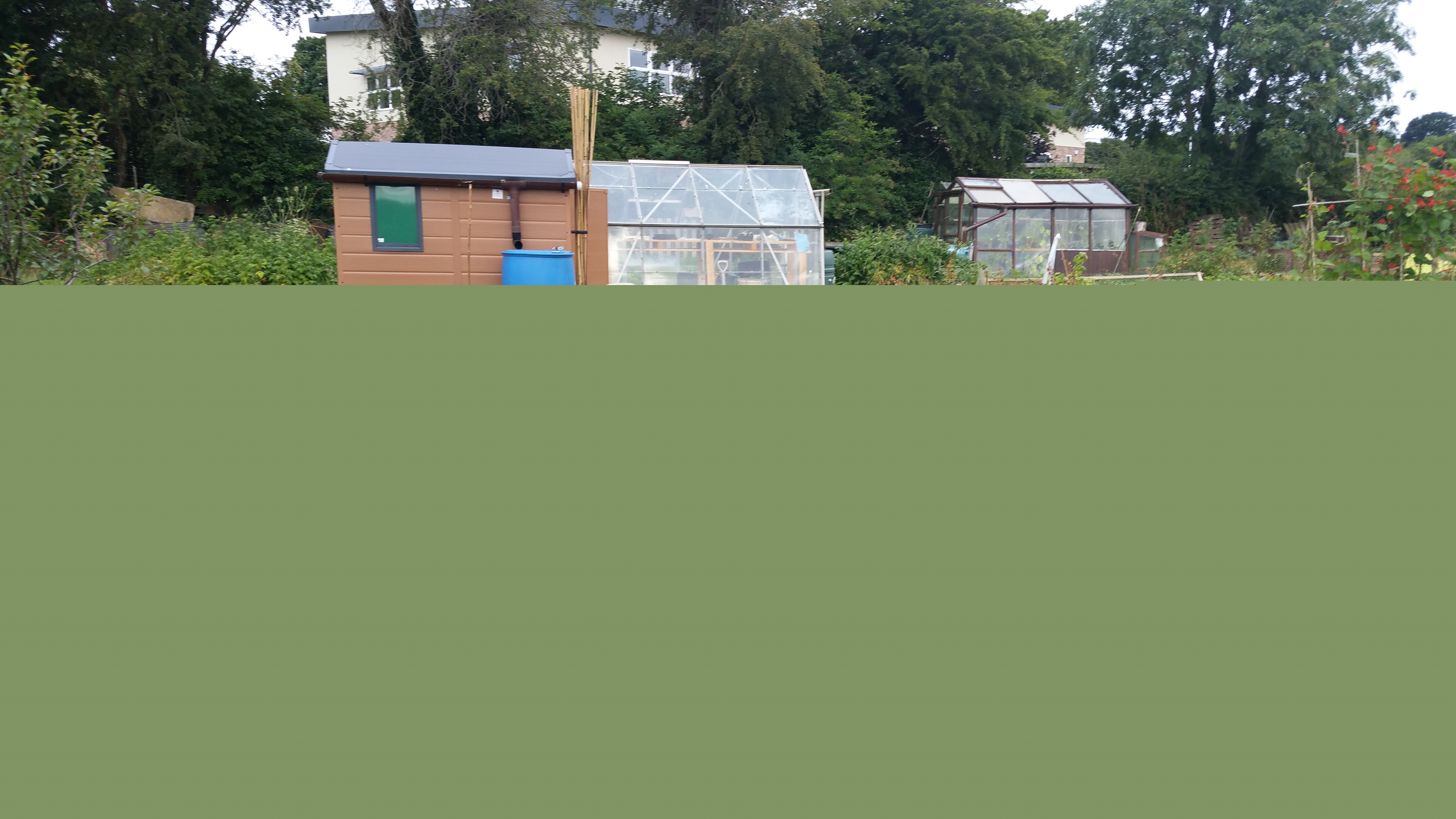 20160731_083118.jpg