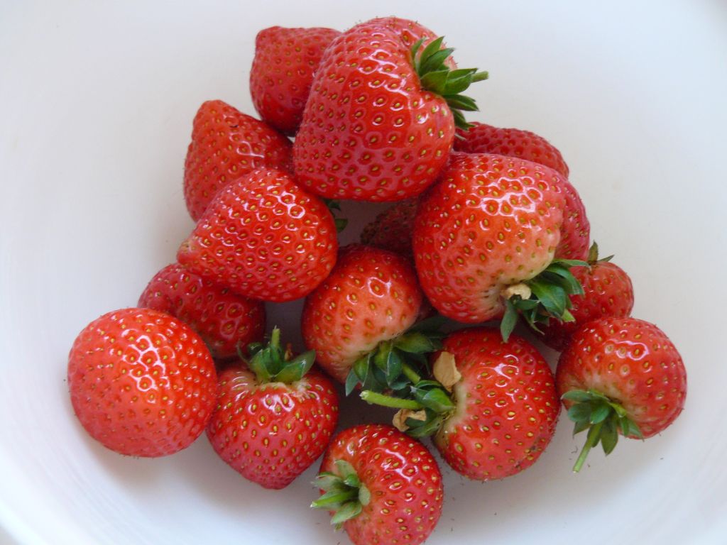 Strawbs.jpg