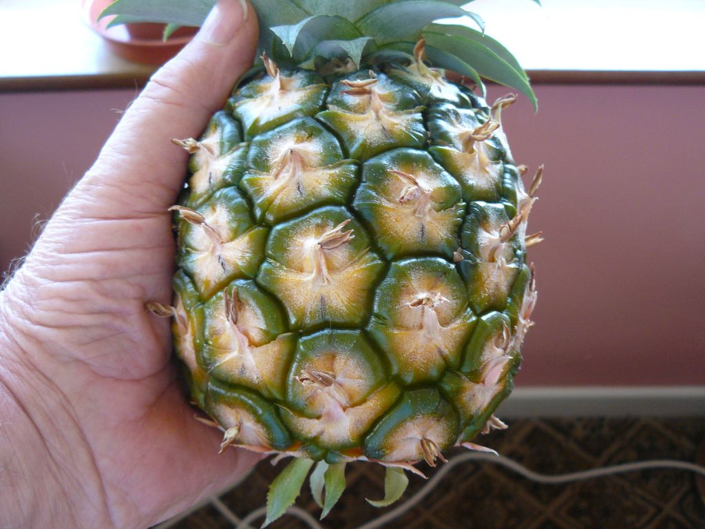 pineapple3.jpg