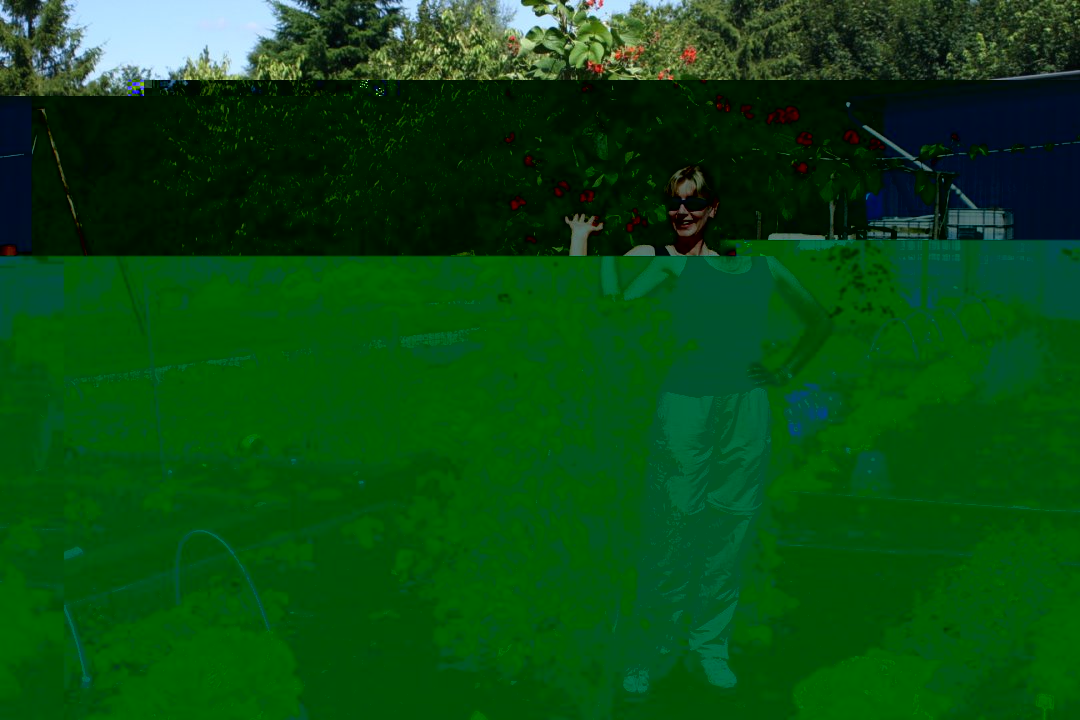 Veg patch2 Jul 08.jpg