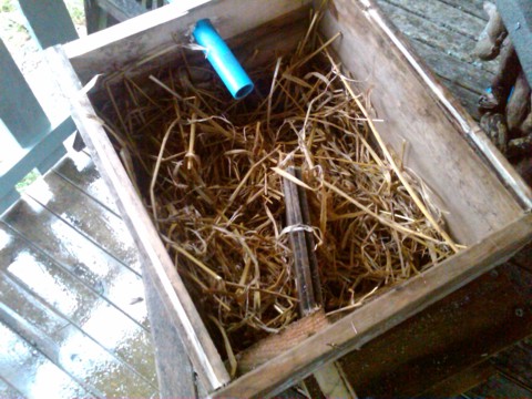 IMG00034-20091108-1445.jpg