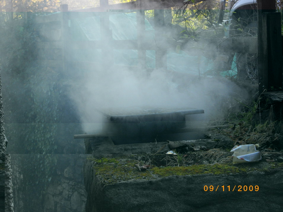 IMGP1782a.jpg