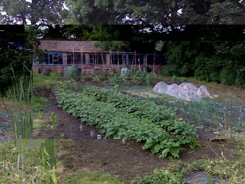 IMG00217b.jpg