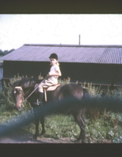 Me on pony circa 1960s.jpg