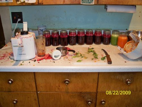 Some of the Veggies are juiced raw...this looks like a crime scene.